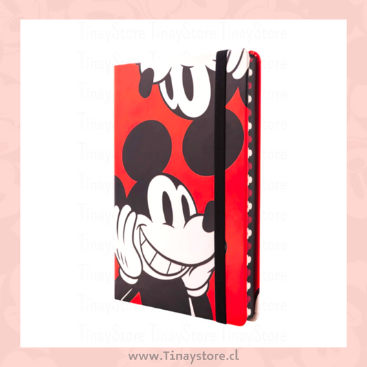 Colección Disney 100 años – tinaystore